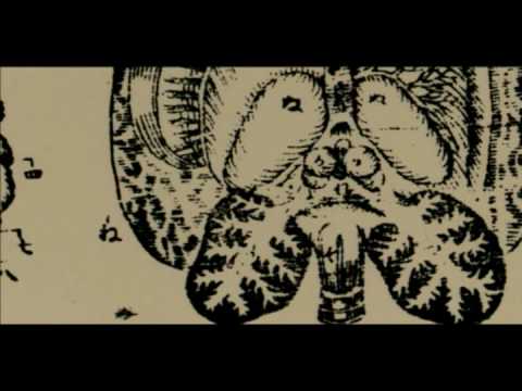 Rangaku (Dutch Learning)