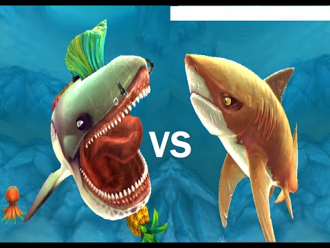 MEGAMOUTH VS ENEMY TIGER SHARK - Hungry Shark World