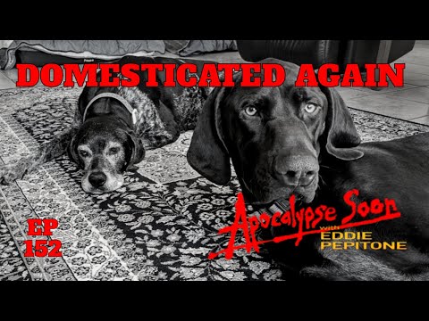 Domesticated Again (Apocalypse Soon with Eddie Pepitone Ep 152)