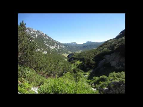 Johann Strauß Vater Alpenkönig Galopp, Merlin Ensemble Wien