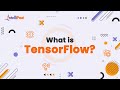 What is TensorFlow | TensorFlow Explained in 3-Minutes | Introduction to TensorFlow | Intellipaat