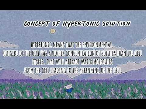 pbl biology form 4 pickled fruits | Nur Athirah Natasha 403