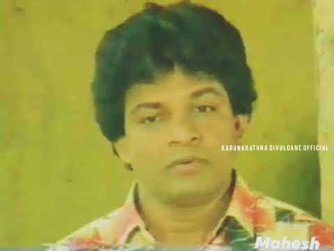 Pinsara Oba Hara (පින්සර ඔබහැර) - Karunarathna Divulgane