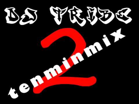 Dj Tribe second tenminmix house electro :)