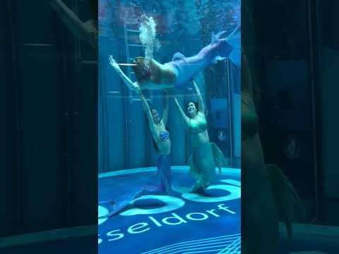 Underwater Dance 😳 Mermaid 🧜🏻‍♀️ Merman - Choreography #shorts #shortsfeed #shorts