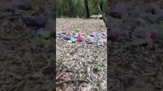 مشاهد لنفايات متناثرة في غابة الحوزية بإقليم الجديدة thumbnail