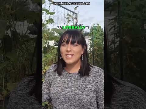 Why Do Cucumbers Make You Burp? The Science Behind It Revealed