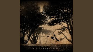 I Have Been in Love with No One, and Never Shall, Unless It Should Be with You