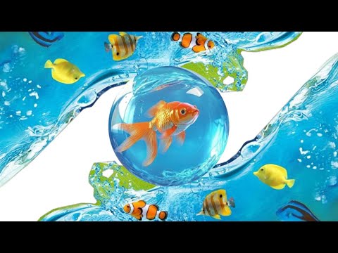 [Playlist] 프루티거 에어로 🐠🍏💻 | Frutiger Aero · Y2K Aesthetic · Internet Nostalgia