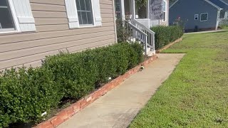 Exterior cleaning results
