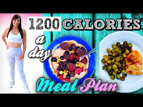 My NEW 1200 CALORIE  A DAY MEAL PLAN FOR FAST WEIGHT LOSS (Exact Diet)