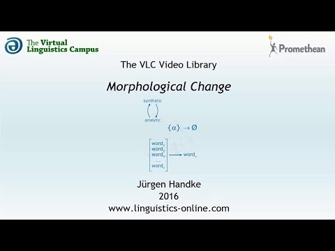 TYP106 - Morphological Change