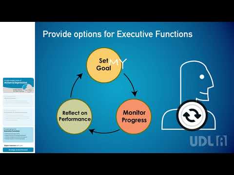 UDL A Action Executive Functions