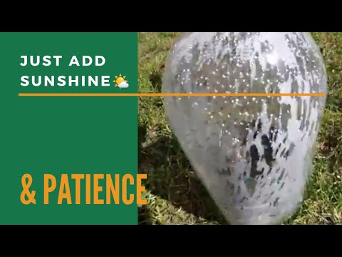 The easiest way to make a Solar Distiller (plastic water bottle)