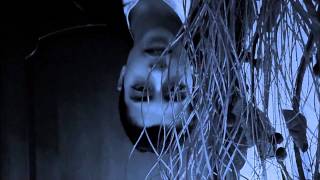 David Guetta ft Sia - Titanium (Lionder ) Cover