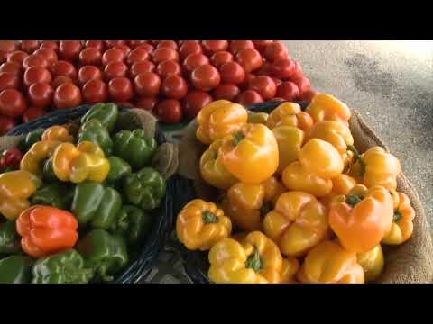 CT Child Care Centers