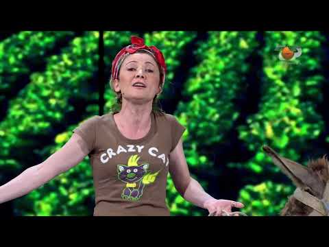 Portokalli, 28 Qershor 2020 – Zimbilja ( Çertifikimi i gomarit )