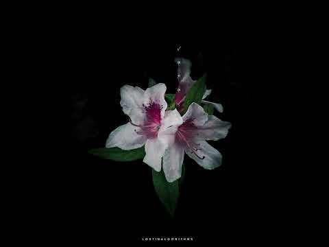 Lost in Algorithms - Half Remembered Dreams (Full EP)