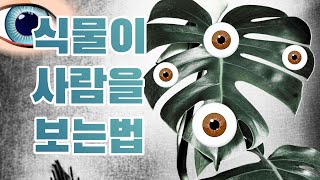식물을 뒤덮은 '작은눈'의 비밀, 식물도 볼 수 있다! (feat.매혹하는 식물의 뇌 )