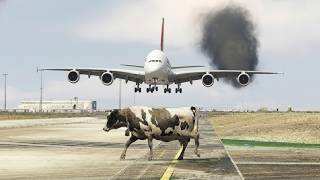 Download lagu Cow Accidentally Comes Runway During PLane Landing Gtav - is it Possible ? mp3