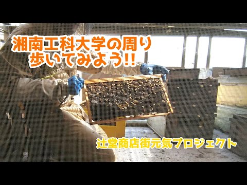 辻堂商店街元気プロジェクト