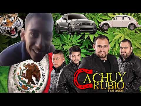 Chanito de culiacan i su nuevo corrido  2018