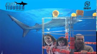 DIA 3 Expo Tiburon95