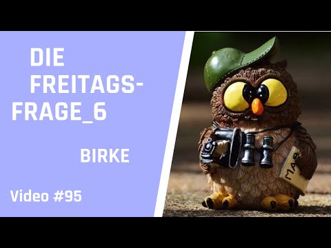 Birch Bonsai: Tips and Tricks for Bonsai Design