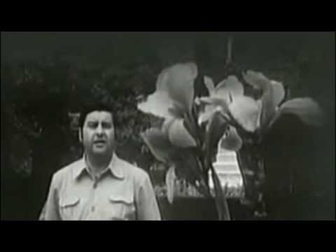 Predrag Gojkovic Cune ~ Samo jednom srce ludi