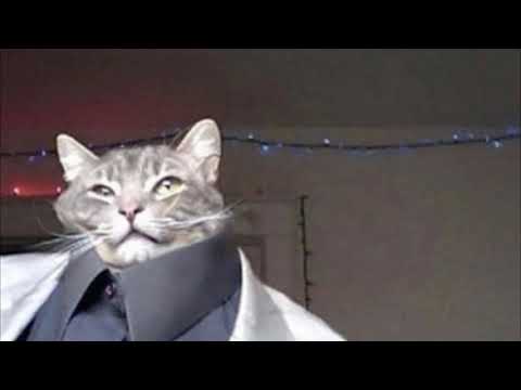 CATYZZ7 □□□□□□