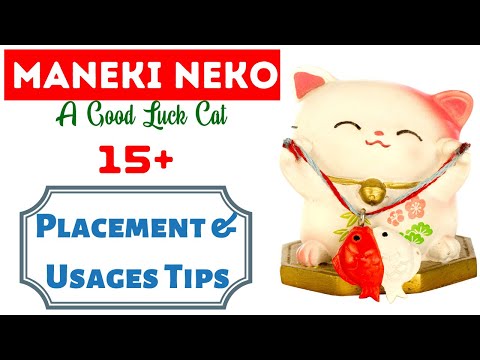 Chinese Lucky Cat? Maneki Neko - Top [15] Lucky Money Cat Directions, Placement Tips [Beckoning Cat]