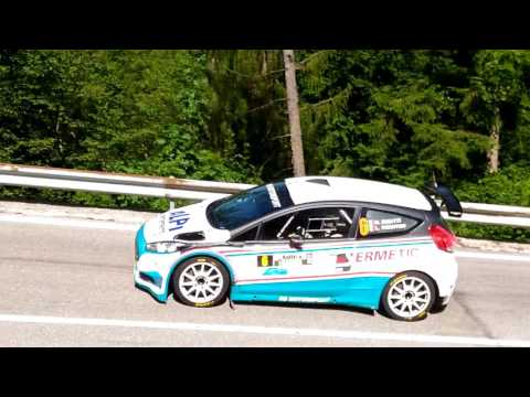 Rally della Carnia 2017 ps verzegnis Buiatti