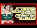 What Are The Invisible Energy Pathways (meridians) In Your Body? - Holistic Asian Health Practices