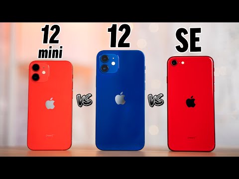 iPhone 12 Mini vs iPhone 12 vs SE - Full Comparison!