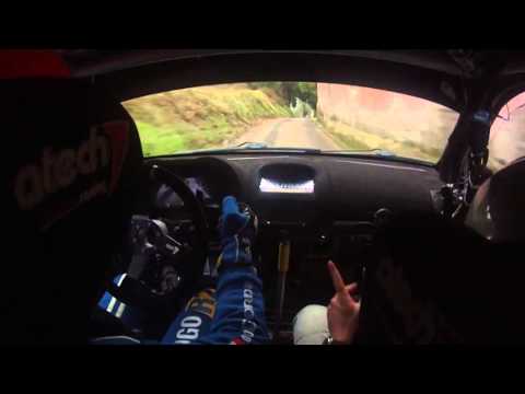 Rally del Carnevale 2014  Pellegrini - Manfredi  Renault Clio Super 1600