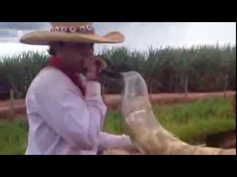 Pedro Henrique Berranteiro - Viajem à Barretos / Floreio