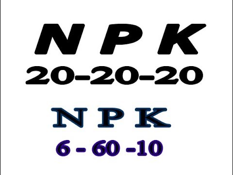 , title : 'npk 20 20 20 سماد'