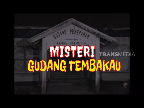 Misteri Gudang Tembakau | MISTER TUKUL