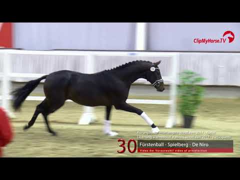 30 Junghengst v. Fürstenball - Spielberg