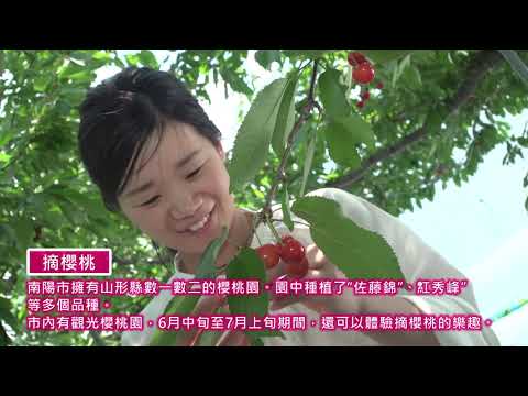 南陽的四季春夏篇