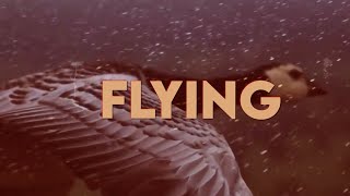 Barrett Crake - Flying (Lyric Video)