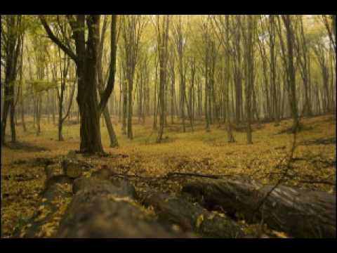 October by Eric Whitacre (string orchestra, high quality audio)