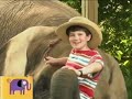 Noggin S Critter Corner Elephants Woolly Mammoths Toddler Tune Town S Noah S Ark