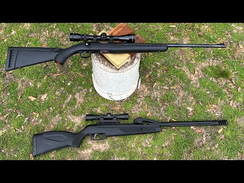 22LR vs .177 Pellet Rifle