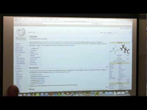 #4 BB 350 Amino Acids - Kevin Ahern's Biochemistry Online