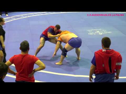 LUCHA CANARIA   C.L ARIDANE- C.L TAMANCA- 08 11 2017 (RESUMEN)