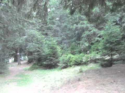 Excursie Padina_Drum Pestera-Padina_DJ174-Indicator spre Cabana Padina (24Sept2011)