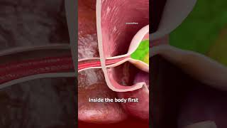 Download lagu What’s wrong with this guy mp3 Download lagu What’s wrong with this guy mp3