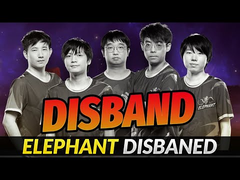 ELEPHANT DISBANED - Somnus (maybe) Free agent Dota 2