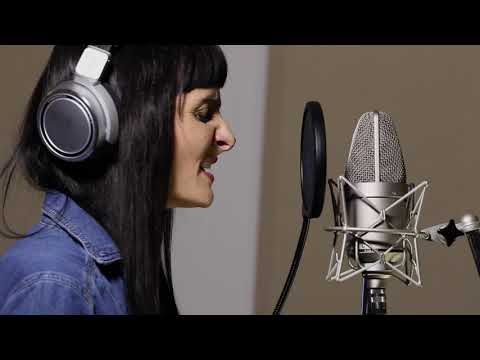 Neumann M 149 Large Diaphragm Multipattern Tube Condenser Microphone 1999 - Present - Nickel image 13